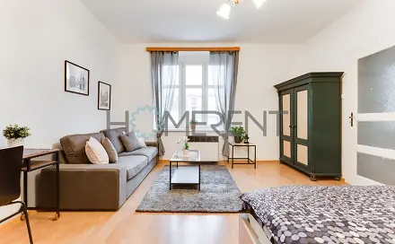 Pronájem bytu 1+1 45 m², Přístavní, Praha 7 - Holešovice
