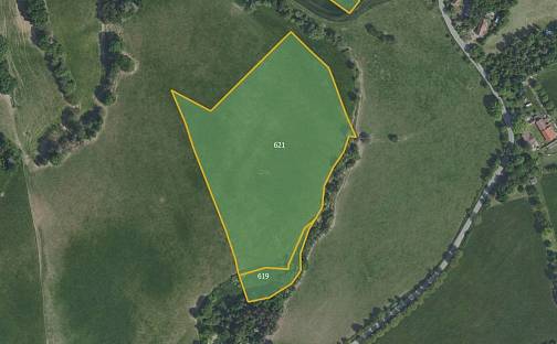 Prodej louky 51 746 m², Krňany, okres Benešov