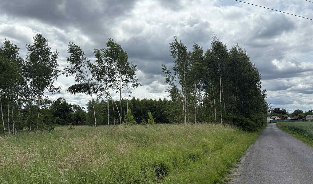 Prodej stavebního pozemku 9 386 m², Petrovice u Karviné – náhled fotky 3