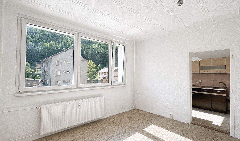 Prodej bytu 2+1 45 m², Hanušovice – náhled fotky 4