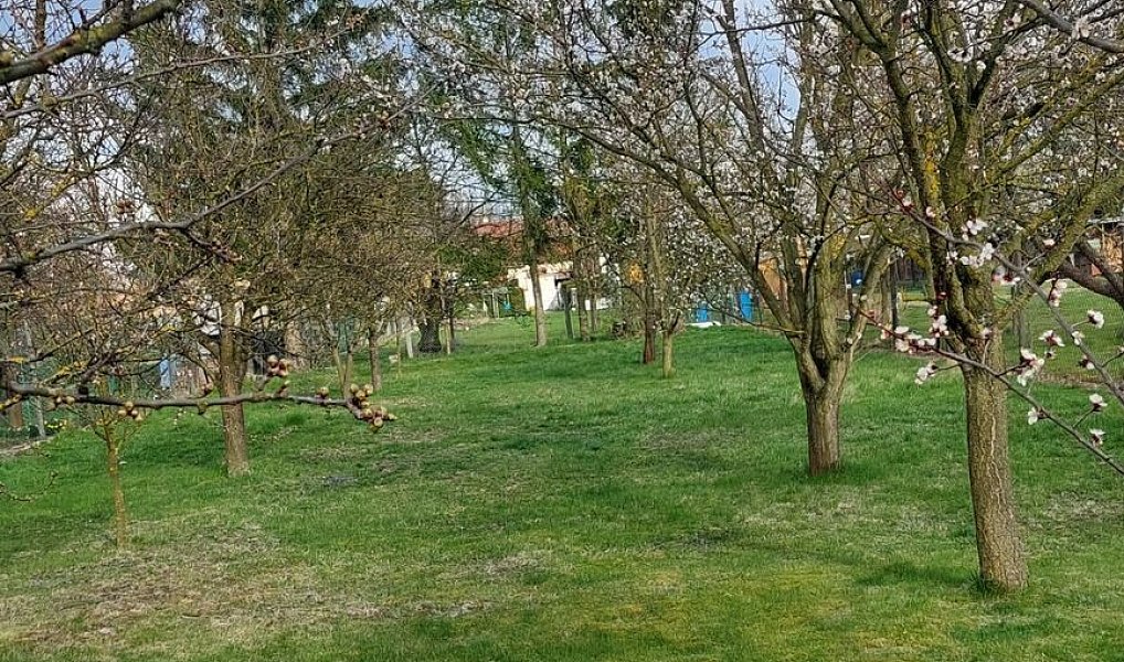 Prodej domu 75 m² s pozemkem 552 m², Huzová – náhled fotky 4