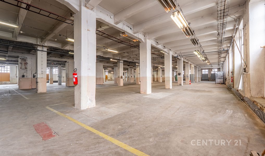Pronájem skladovacích prostor 700 m², Dolní Bousov – náhled fotky 10