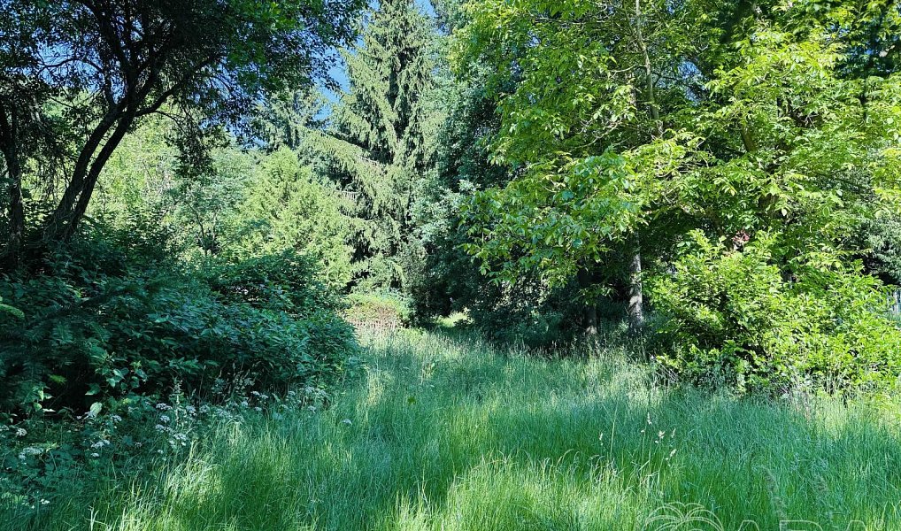 Prodej stavebního pozemku 701 m², Tábor – náhled fotky 5