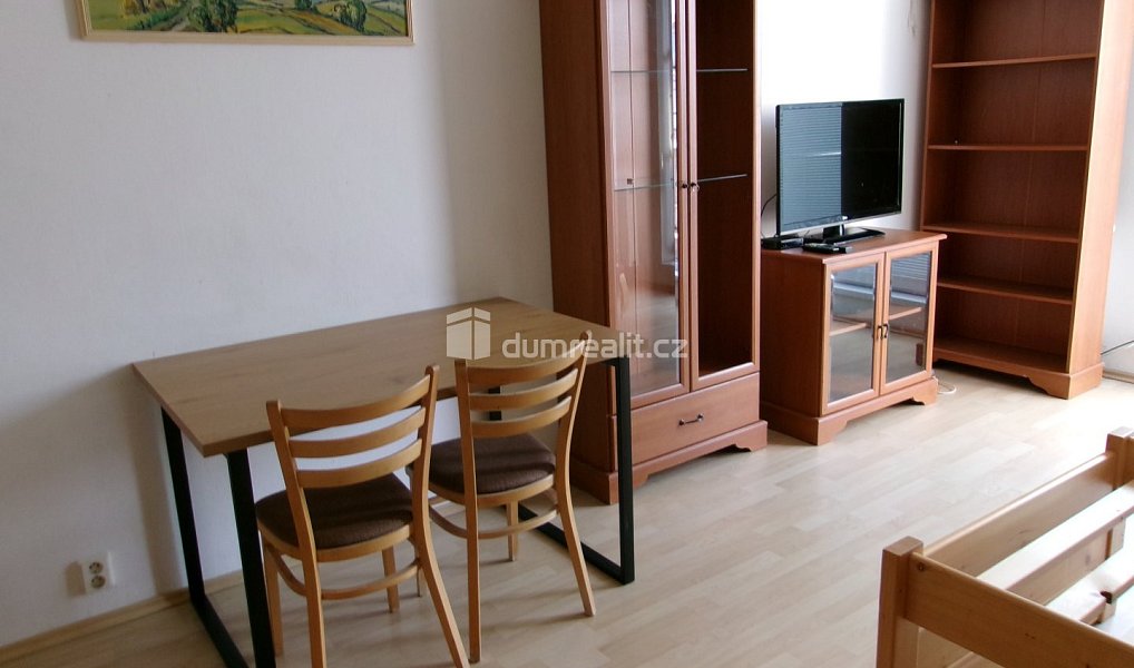 Pronájem bytu 1+kk 39 m², Mladá Boleslav – náhled fotky 10