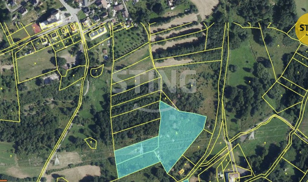 Prodej lesa 12 302 m², Horní Město – náhled fotky 2