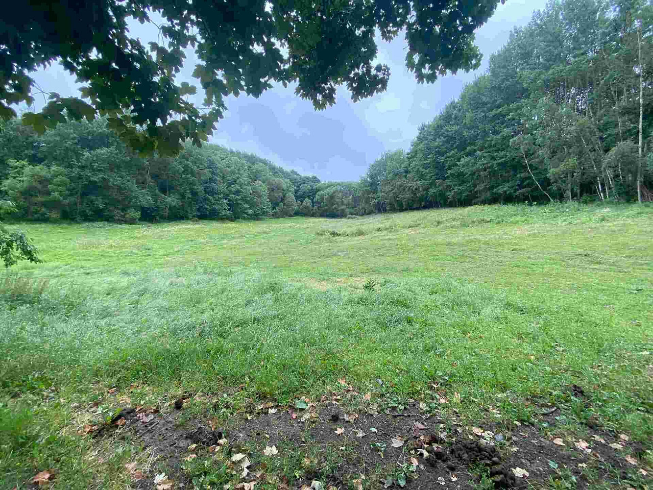 Prodej pole 11 289 m²