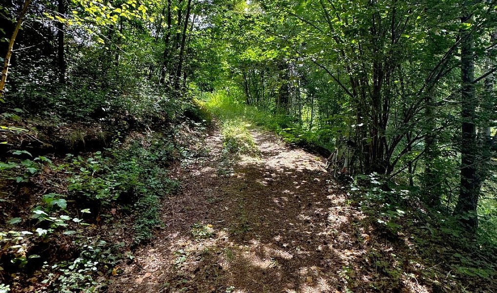 Prodej vodní plochy 25 771 m², Dačice – náhled fotky 11