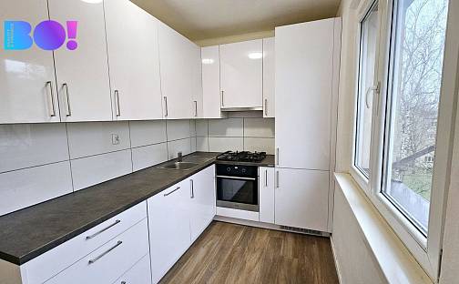 Pronájem bytu 2+1 54 m², Čajkovského, Karviná - Mizerov