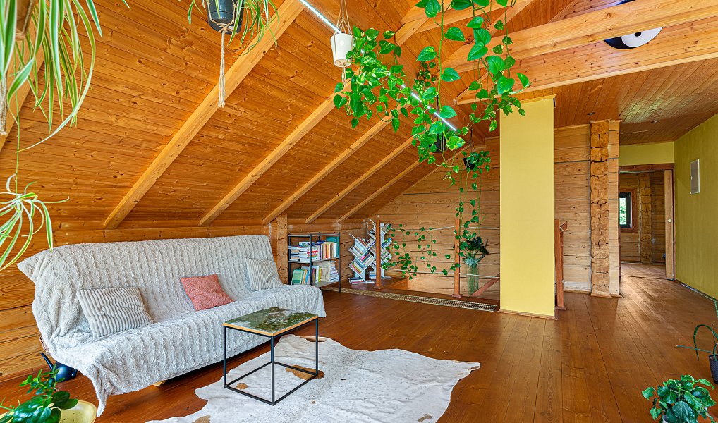 Prodej domu 230 m² s pozemkem 10 000 m², Bohatice – náhled fotky 29