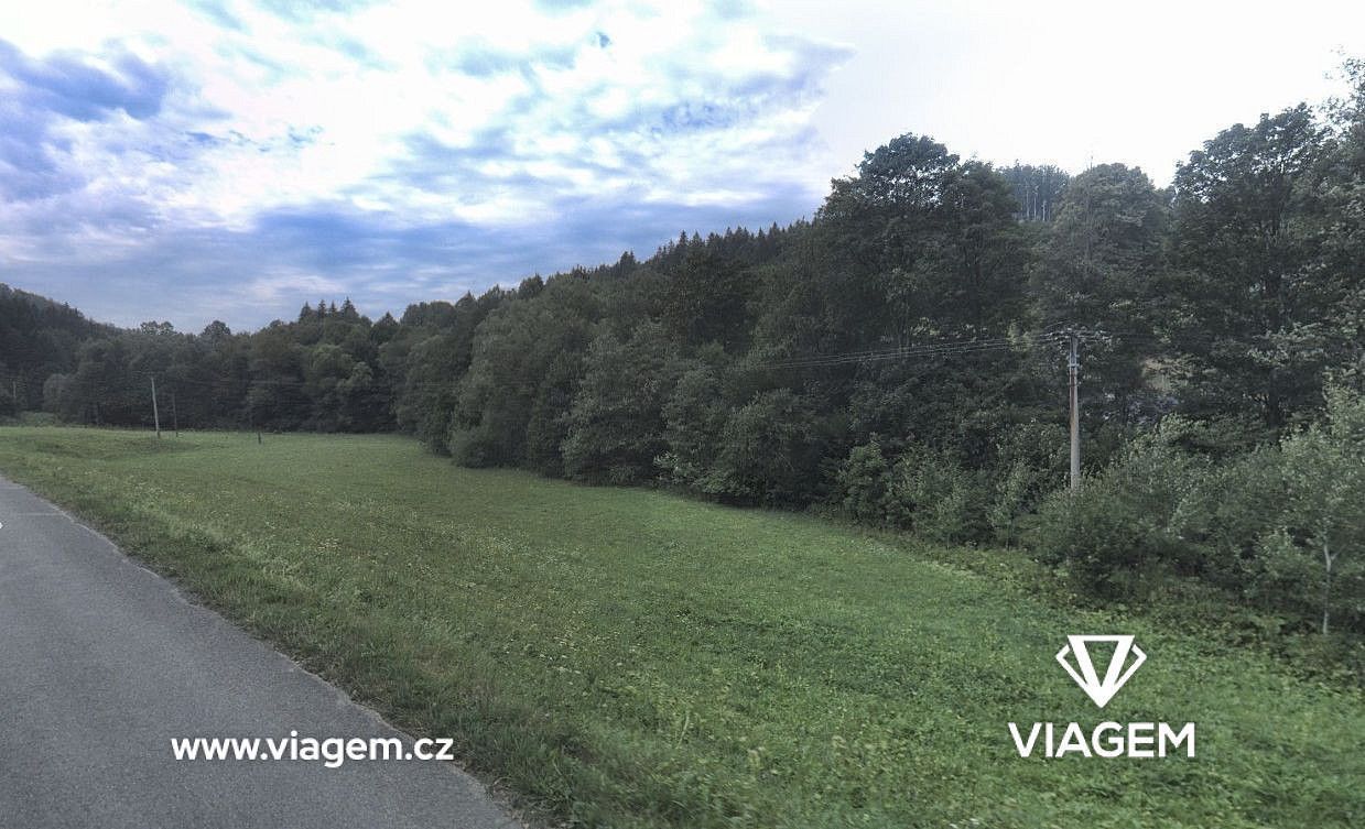 Prodej pole 4 861 m² – fotografie 4