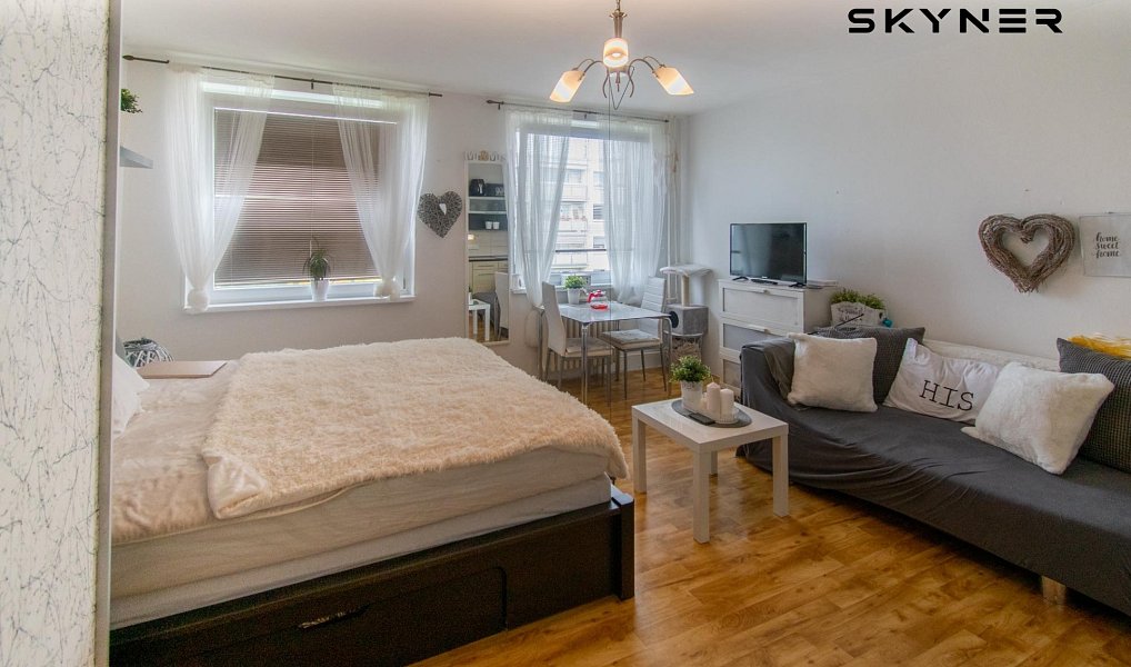 Pronájem bytu 1+kk 32 m², Ústí nad Labem – náhled fotky 2