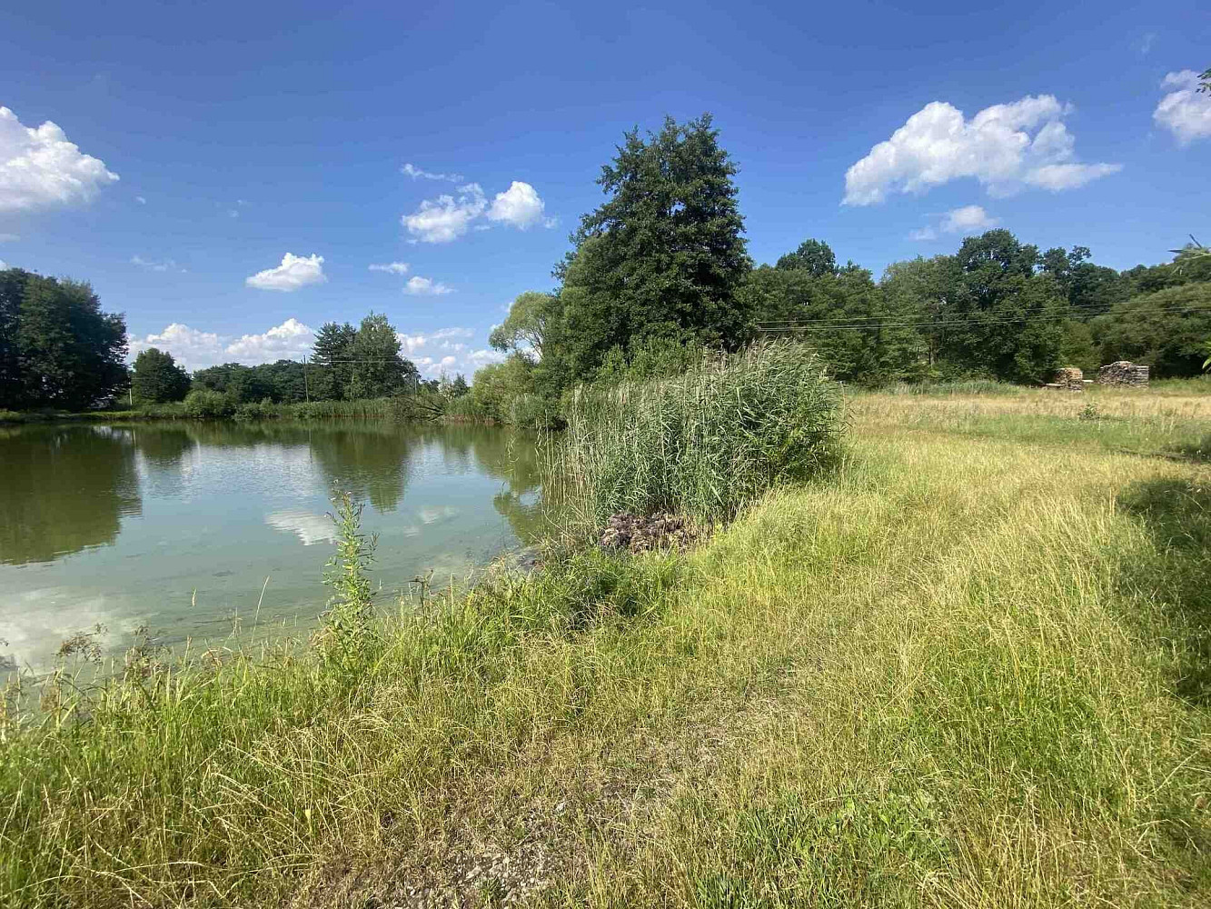 Prodej pozemku 2 756 m² – fotografie 5