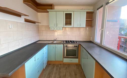 Pronájem bytu 2+1 49 m², K. J. Erbena, Most