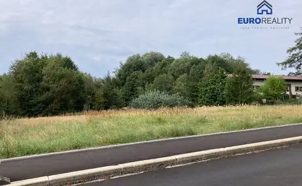 Prodej stavebního pozemku 3 927 m², Aš, okres Cheb