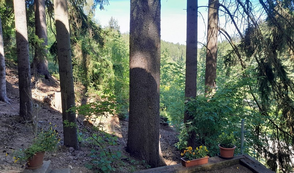 Prodej ubytovacího objektu 83 m², Plavy – náhled fotky 27