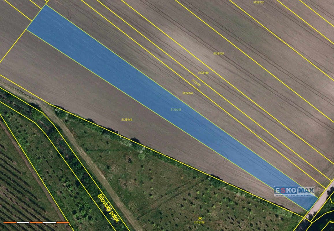 Prodej pole 4 600 m² – fotografie 2