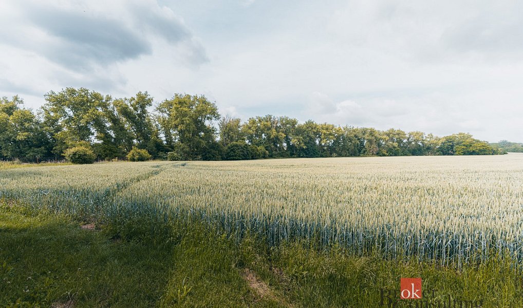 Prodej stavebního pozemku 2 208 m², Nesuchyně – náhled fotky 3
