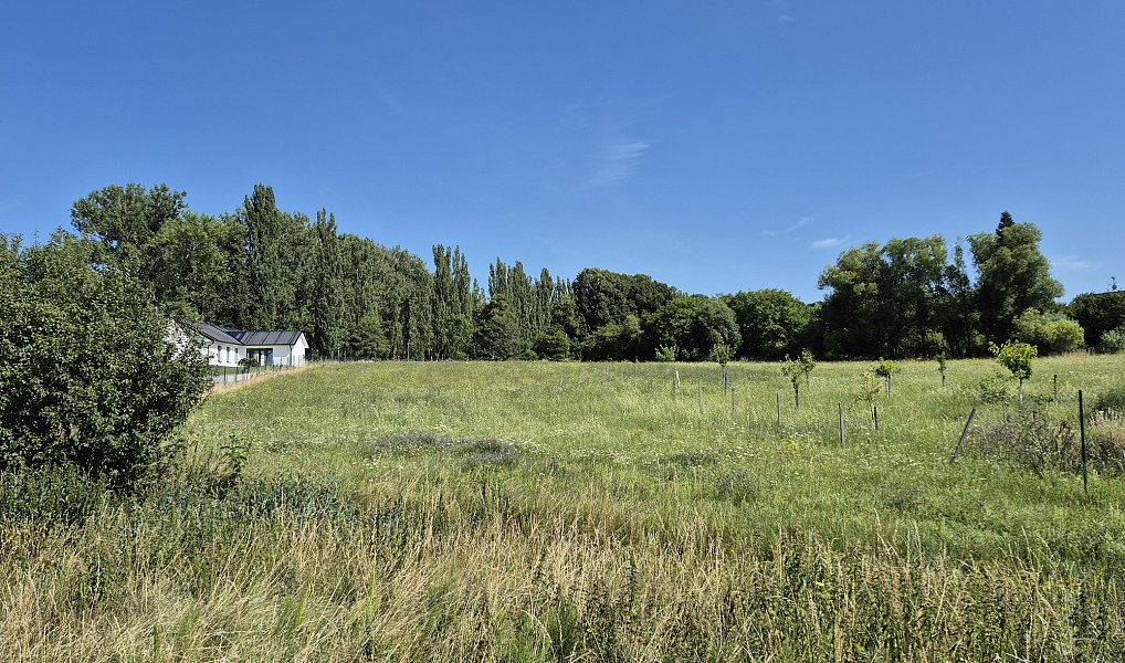Prodej stavebního pozemku 2 612 m², Domousnice – náhled fotky 7
