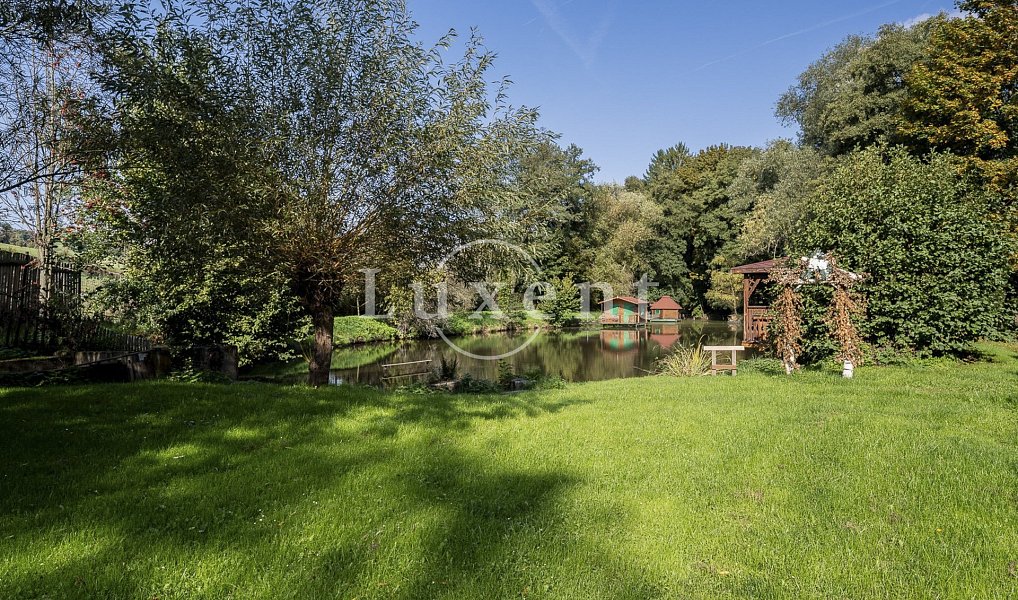 Prodej domu 1 700 m² s pozemkem 110 000 m², Stříbrná Skalice – náhled fotky 20