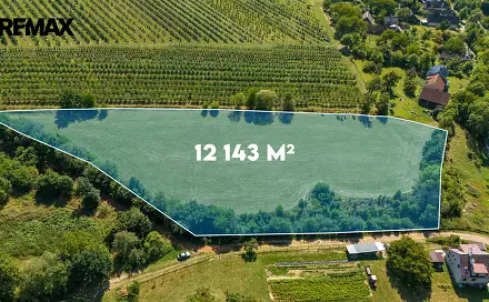 Prodej stavebního pozemku 12 143 m², Lužany, okres Jičín