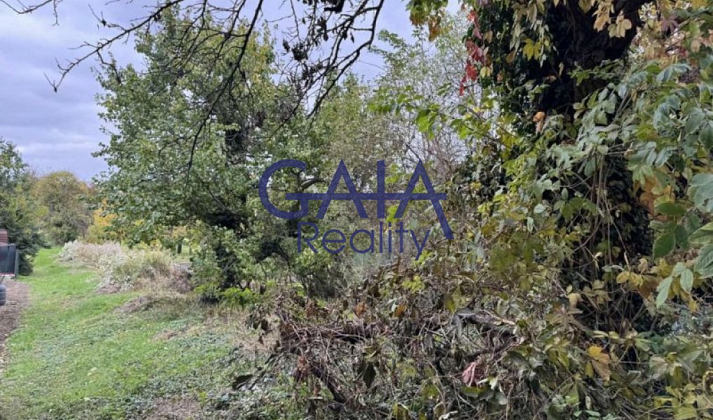 Prodej domu 142 m² s pozemkem 1 183 m², Čejč – náhled fotky 15