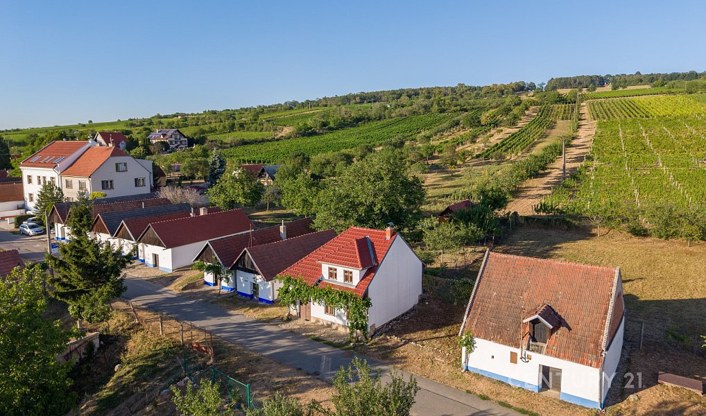 Vinný sklep 83m2, pozemky 8.420m2, Blatnice pod Svatým Antonínkem, Blatnice pod Svatým Antonínkem – náhled fotky 25