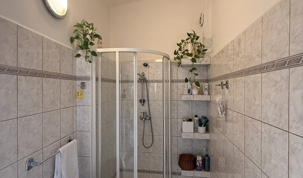 Prodej domu 156 m² s pozemkem 200 m², České Budějovice – náhled fotky 10
