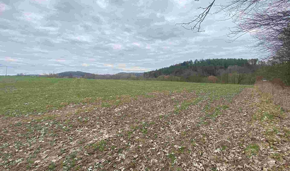 Prodej pozemku 4 837 m², Žinkovy – náhled fotky 2