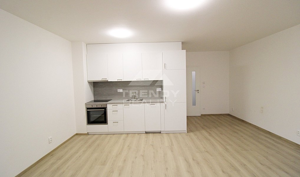 Pronájem bytu 2+kk, 60 m², Doudlevce - Plzeň-město, Plzeň