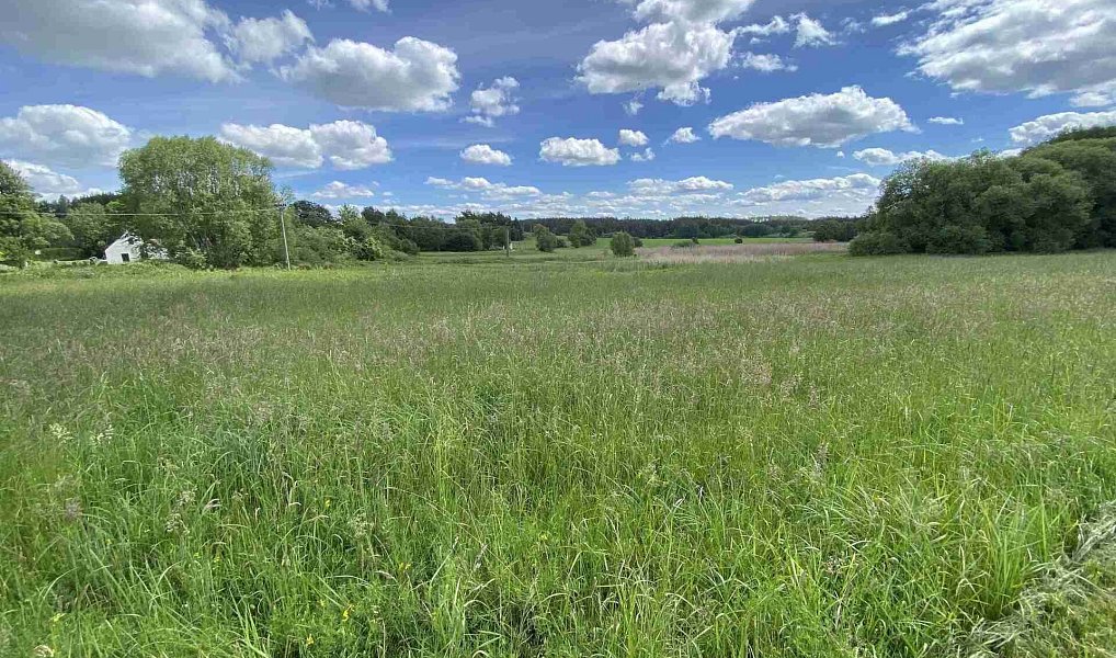 Prodej stavebního pozemku 3 058 m², Slavonice – náhled fotky 3