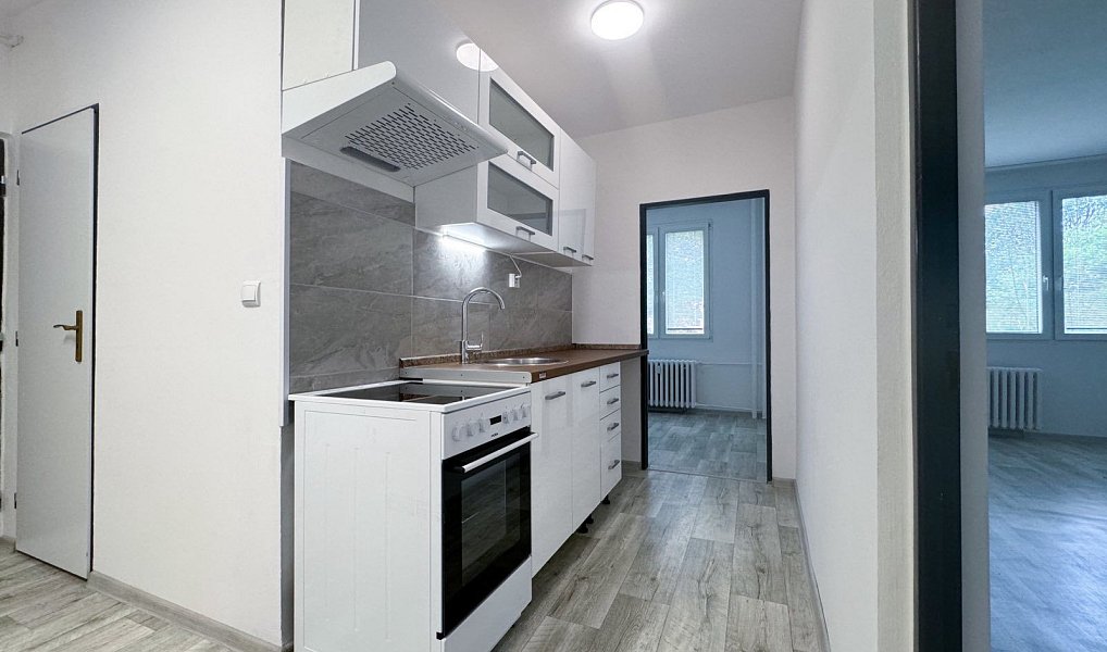 Pronájem bytu 3+1 63 m², Chomutov – náhled fotky 5