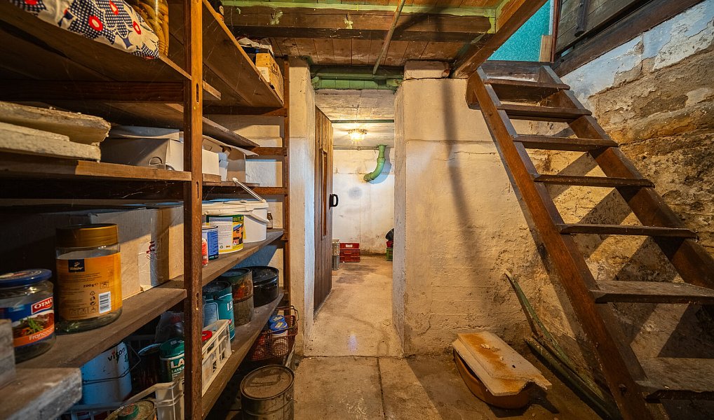 Prodej chaty/chalupy 70 m² s pozemkem 1 251 m², Loučeň – náhled fotky 16
