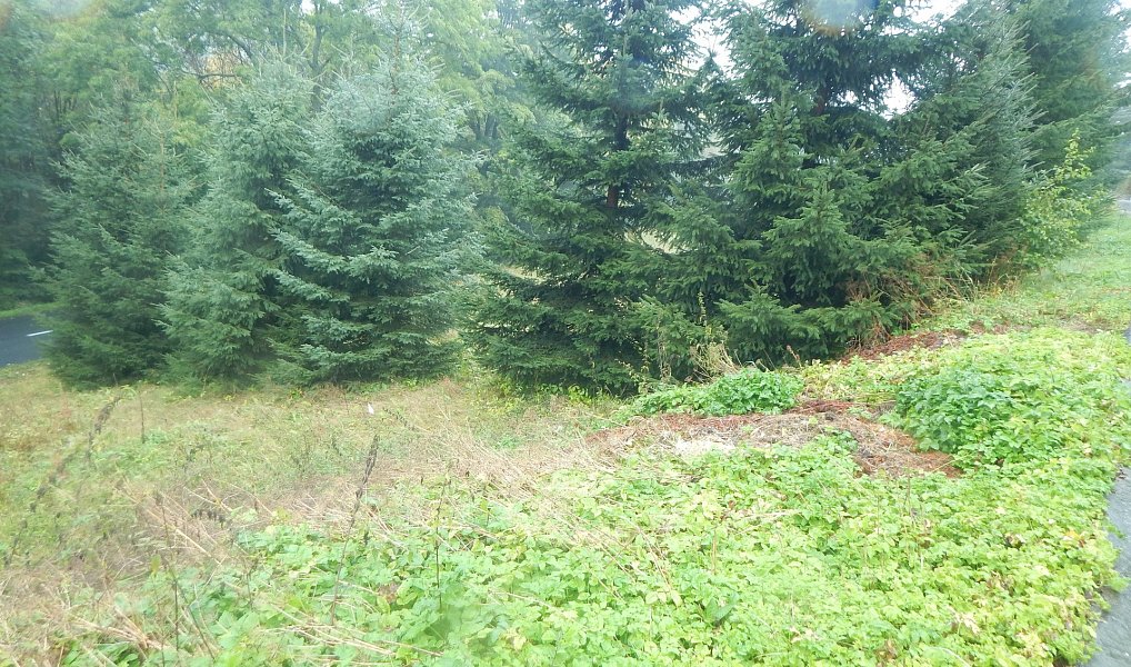 Prodej zahrady 876 m², Vejprty – náhled fotky 12