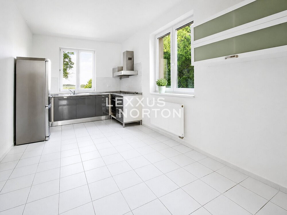 Pronájem domu 300 m² s pozemkem 1 000 m² – fotografie 4