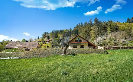 Prodej domu 691 m² s pozemkem 3 781 m², Písek - Budějovické Předměstí