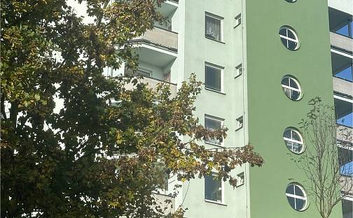 Pronájem obchodních prostor 12 m²