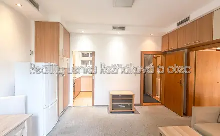 Prodej bytu 2+1 45 m²