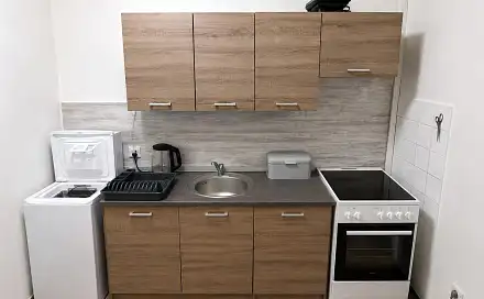Pronájem bytu 2+1 53 m², Železná, Ústí nad Labem - Neštěmice