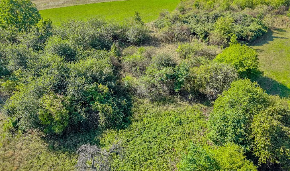 Prodej stavebního pozemku 3 240 m², Bystřany – náhled fotky 35