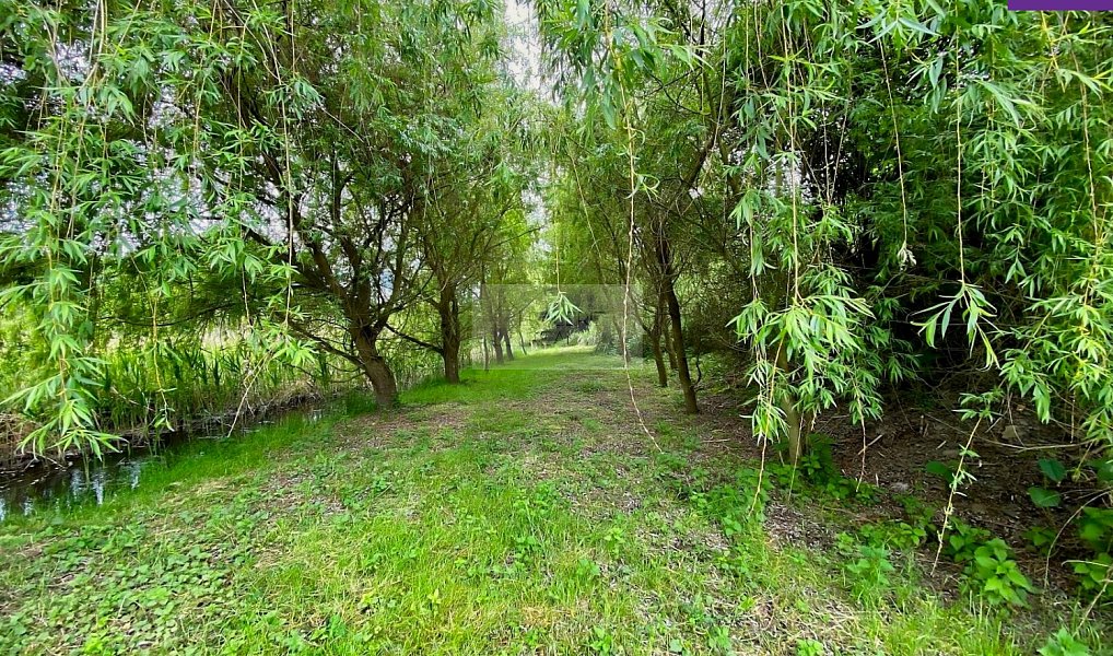 Prodej zahrady 4 026 m², Brandýs nad Labem-Stará Boleslav – náhled fotky 4