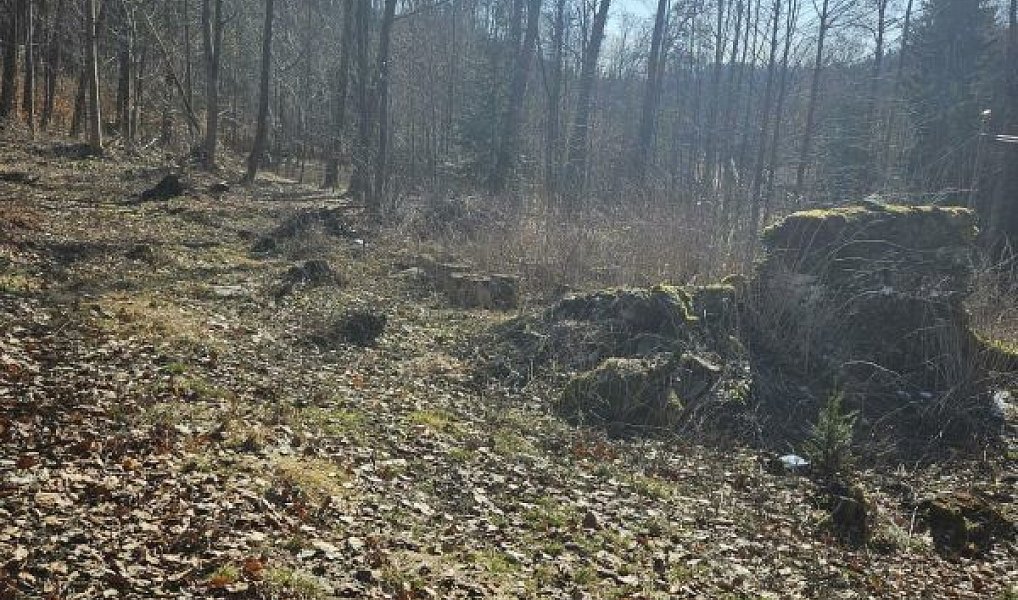Prodej stavebního pozemku 482 m², Vysoké nad Jizerou – náhled fotky 3
