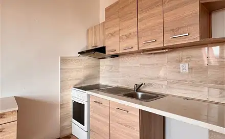 Pronájem bytu 1+1 33 m², Březenecká, Chomutov