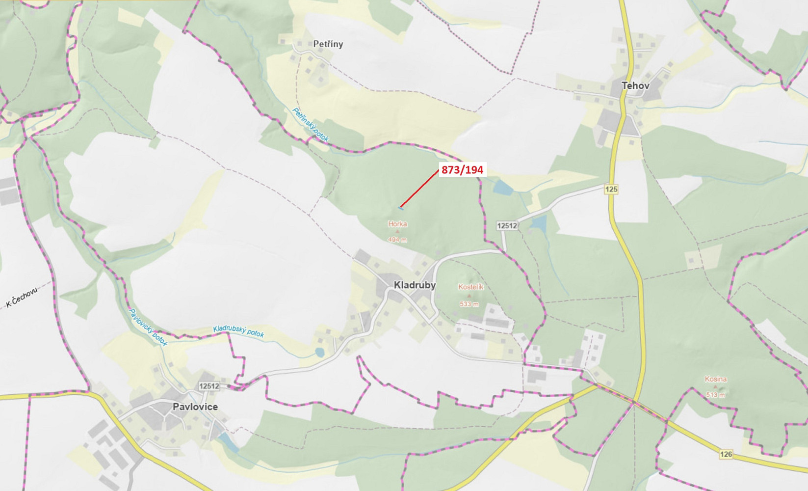Dražba lesa 132 m²