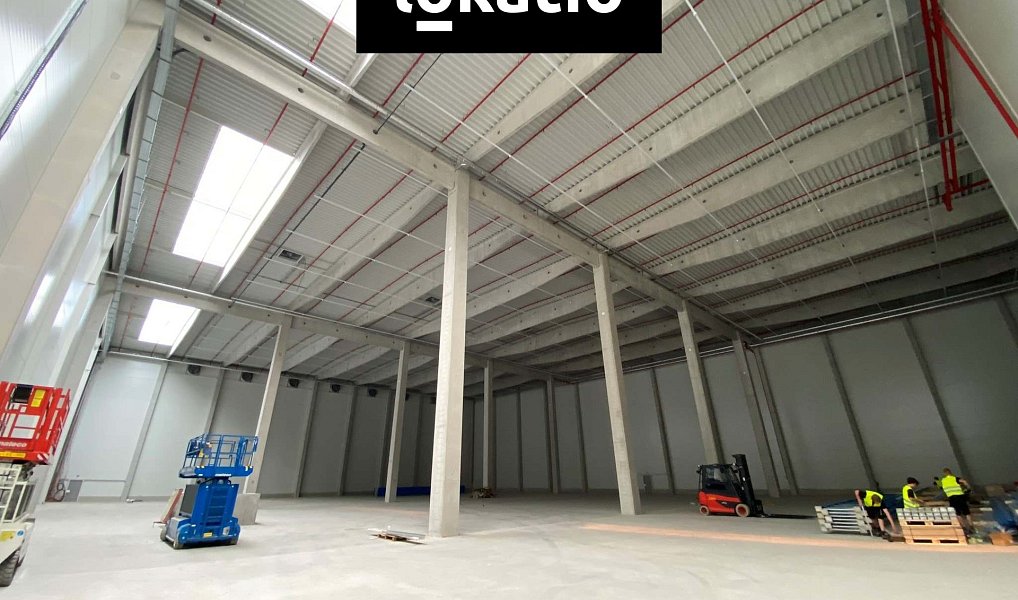 Pronájem skladovacích prostor 1 000 m², Mohelnice – náhled fotky 3