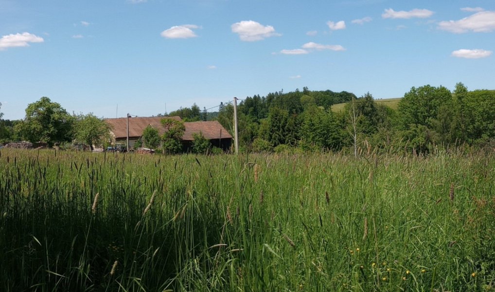 Prodej stavebního pozemku 4 273 m², Anenská Studánka – náhled fotky 4