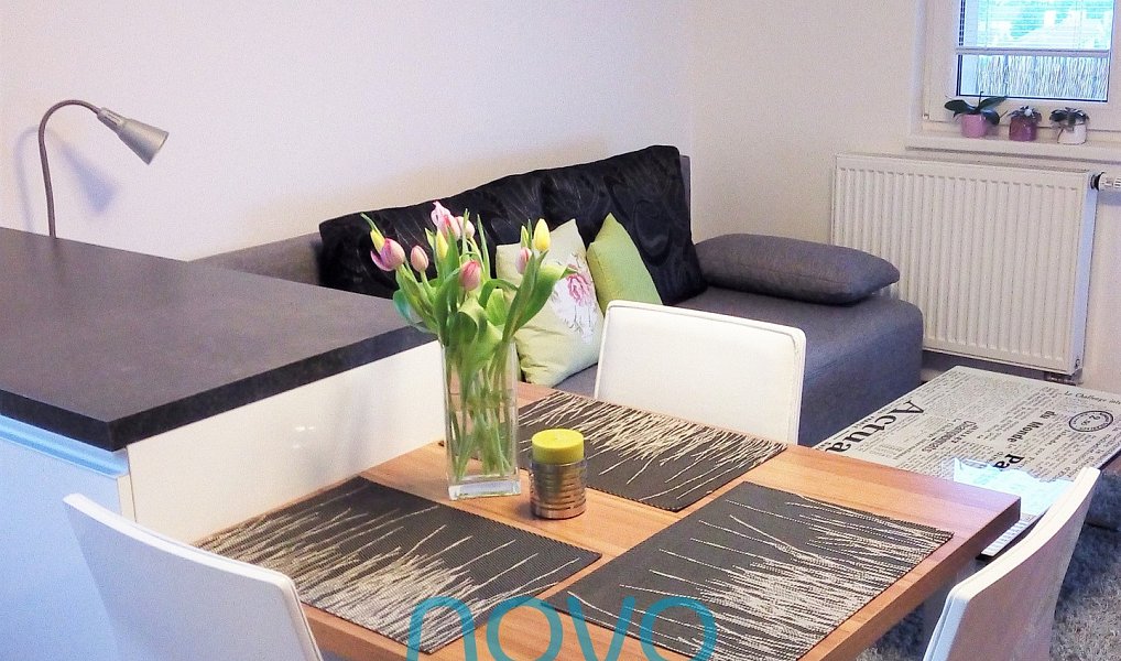 Pronájem bytu 1+kk 33 m², Praha – náhled fotky 3