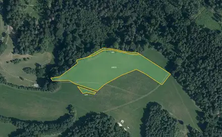 Prodej louky 18 193 m², Postřelmůvek, okres Šumperk