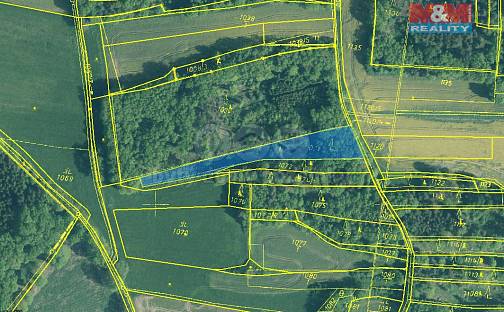 Prodej lesa 4 969 m², Skály, okres Písek