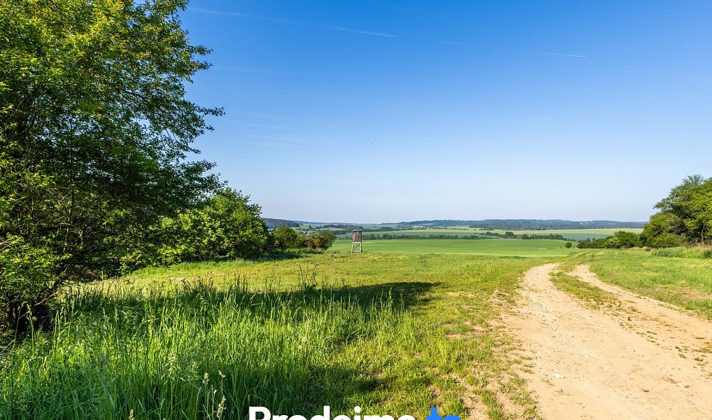 Prodej stavebního pozemku 16 909 m², Písečné – náhled fotky 9