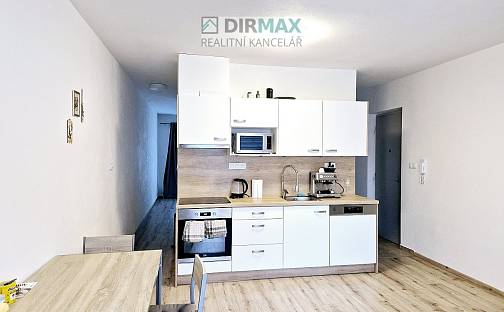 Pronájem bytu 2+kk 45 m², Resslova, Plzeň - Jižní Předměstí